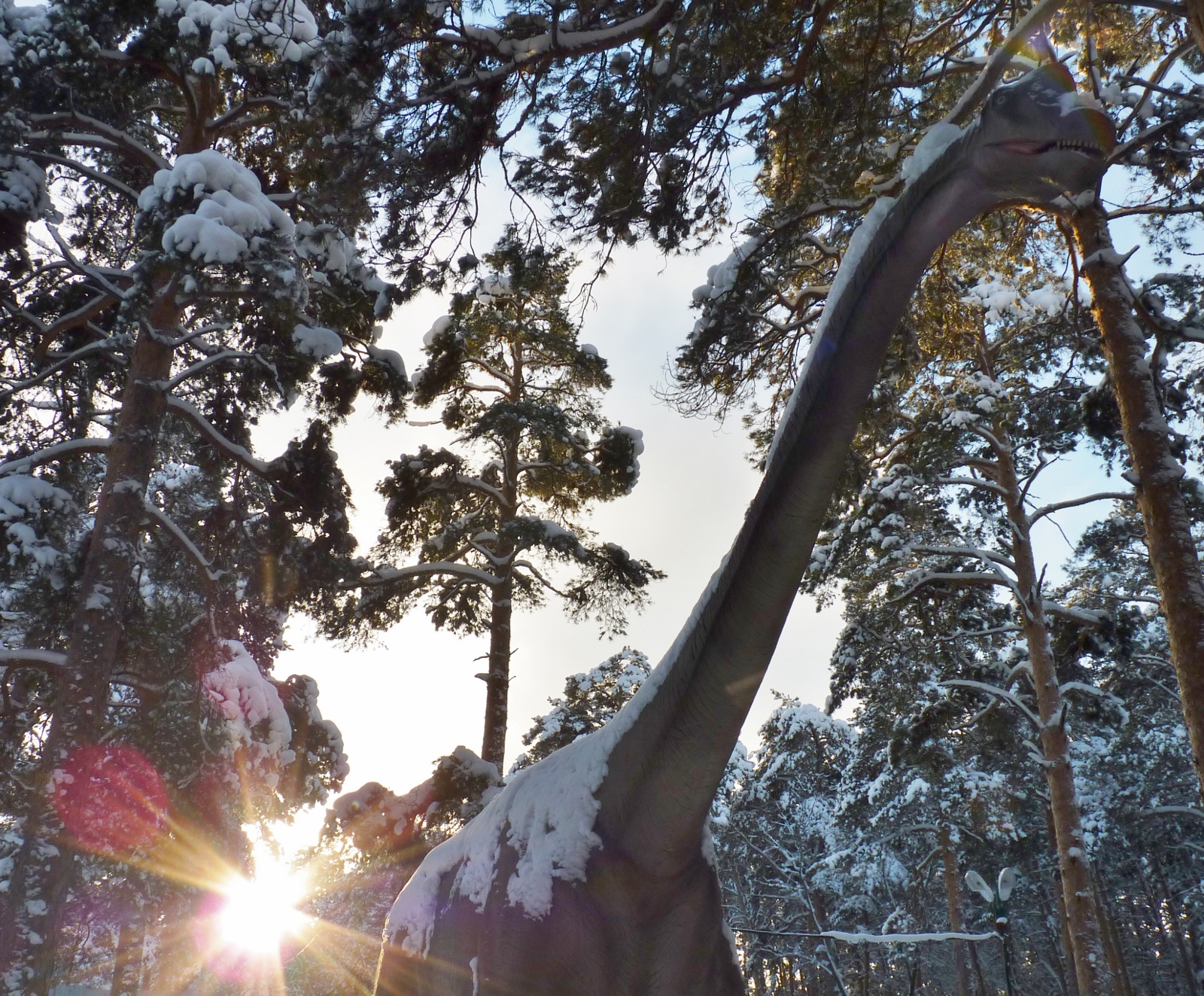 Чугаев Эдуард, г. Челябинск, школа № 151. "Гигант в сосновом лесу", ноинация "Ледниковый период в парке динозавров"
