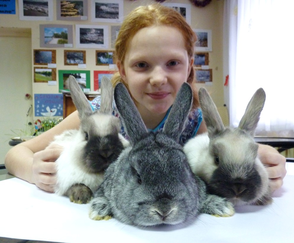 Ложкин Павел, 16 лет, г. Челябинск. Ксюша и маленькие карликовые кролики Пуша, Пулькин и Як