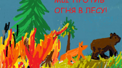 Миненко Дмитрий, г. Челябинск, 12 лет, школьное лесничество КЮБЗ "Багира". Мы против огня в лесу!