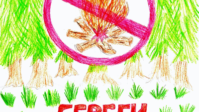 Зылева Анна, 7 лет, школа 70 г. Челябинска. Береги лес от пожара!