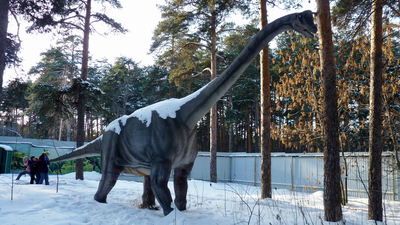 Задорожная Ксения, 12 лет, г. Челябинск. Вот это брахиозавр!