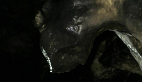 Чёрная пантера Багира в пещере "Колокольной"
