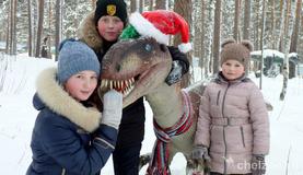 Итоги фотоконкурса "Новогоднее настроение"