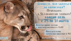 Неделя познавательных каникул!