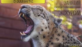Осенние каникулы в зоопарке