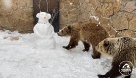 Мартовский снеговик для медведиц