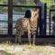 Small Pix1