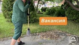 Вакансия