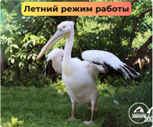 Переходим на летний режим работы
