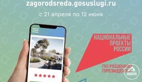 Голосование за проекты благоустройства