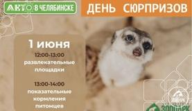 День сюрпризов