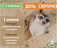 День сюрпризов