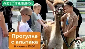 Прогулка с альпака