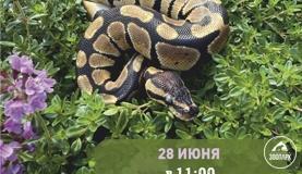 ЖИВотнЫЕ выходные