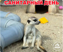 30 июня – Санитарный день