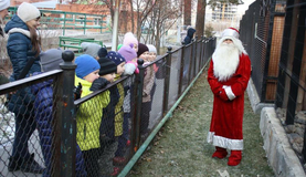 Пушистый помощник Деда Мороза решит, какие подарки заслуживают челябинские школьники
